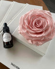Rosa Preservada con Gotero Rosa