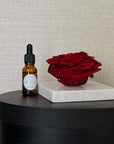Rosa Preservada con Gotero Roja