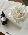 Rosa Preservada con Gotero Blanca. Ame Ame