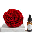 Rosa Preservada con Gotero Roja