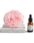 Rosa Preservada con Gotero Rosa