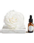 Rosa Preservada con Gotero Blanca