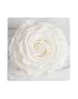 Rosa Preservada con Gotero Blanca