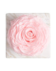 Rosa Preservada con Gotero Rosa