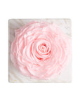 Ame Ame Rosa Preservada Rosa