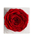 Ame Ame Rosa Preservada Roja
