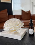 Rosa Preservada con Gotero Blanca