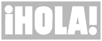 Logo Hola Gris